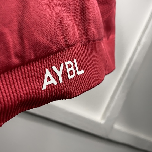 AYBL Balance V2 Sports Bra - Picture 8 of 8